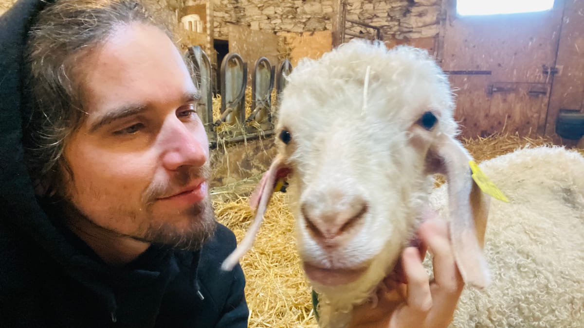 MERCI 🥰🥰🥰🥰🥰