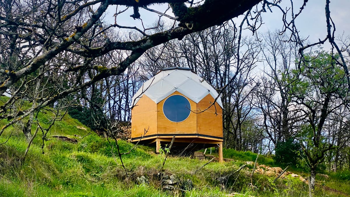 PRINTEMPS 2026 : Où j'en suis, où je vais