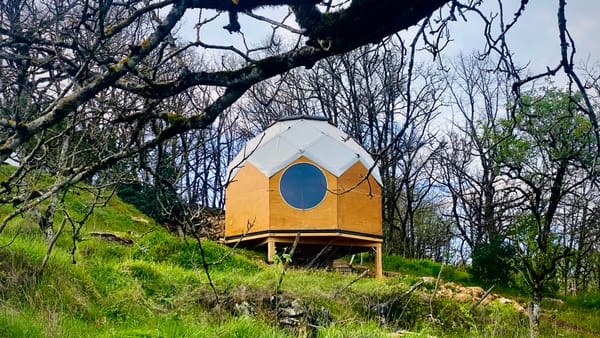 PRINTEMPS 2026 : Où j'en suis, où je vais